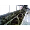 nylon NN canvas conveyors